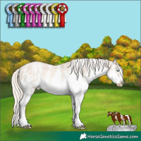 Horse Color:Chocolate Palomino Pearl Sabino Splash Frame Varnish Rabicano  Brindle