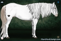 Horse Color:Liver Chestnut Pearl Sabino Tobiano Appaloosa Rabicano Brindle