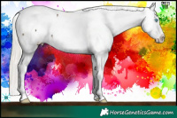 Horse Color:Chocolate Palomino Ice Pearl Snowcap Rabicano  Brindle