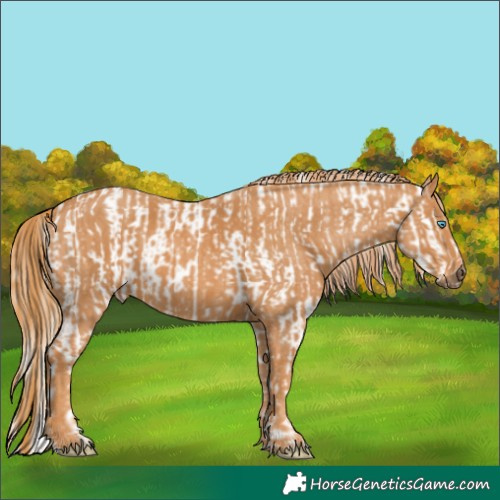 Horse Color:Chocolate Palomino Ice Pearl Sabino Varnish Rabicano  Brindle