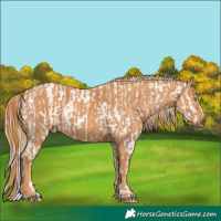 Horse Color:Chocolate Palomino Ice Pearl Sabino Varnish Rabicano  Brindle