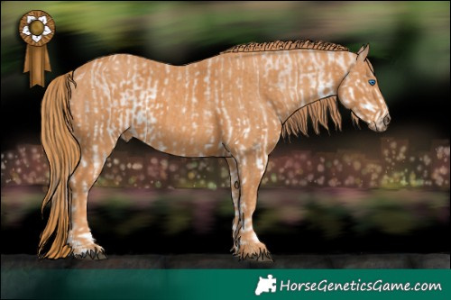 Horse Color:Liver Red Roan Pearl Splash Rabicano  Brindle