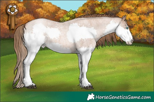 Horse Color:Liver Red Roan Pearl Splash Rabicano  Brindle