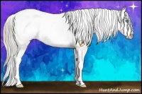 Horse Color:Chocolate Palomino Pearl Sabino Appaloosa Rabicano  Brindle