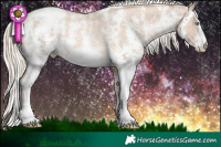 Horse Color:Chocolate Palomino Pearl Sabino Appaloosa Rabicano  Brindle