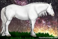 Horse Color:Chocolate Palomino Pearl Sabino Appaloosa Rabicano  Brindle