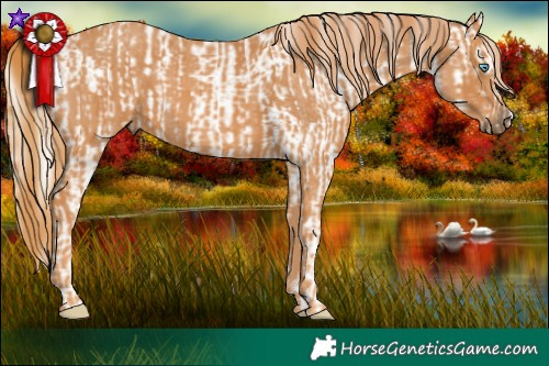 Horse Color:Chocolate Palomino Pearl Mushroom Sabino Appaloosa Rabicano  Brindle