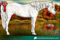 Horse Color:Chocolate Palomino Pearl Mushroom Sabino Appaloosa Rabicano Brindle