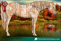 Horse Color:Chocolate Palomino Pearl Mushroom Sabino Appaloosa Rabicano Brindle