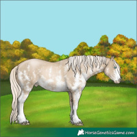 Horse Color:Chocolate Palomino Pearl Mushroom Sabino Rabicano  Brindle