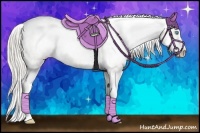 Horse Color:Chocolate Palomino Pearl Sabino Appaloosa Rabicano  Brindle