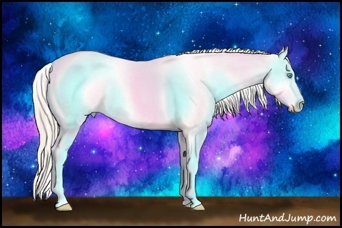 Horse Color:Chocolate Palomino Pearl Sabino Varnish Rabicano Brindle