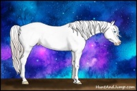 Horse Color:Chocolate Palomino Pearl Sabino Appaloosa Rabicano  Brindle