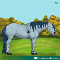 Horse Color:ERROR: UNKNOWN ANOMALY Brindle