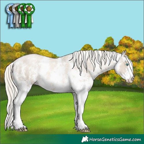 Horse Color:Chocolate Palomino Pearl Mushroom Sabino Varnish Rabicano  Brindle