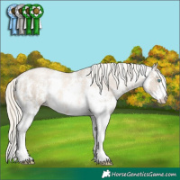 Horse Color:Chocolate Palomino Pearl Mushroom Sabino Appaloosa Rabicano Brindle