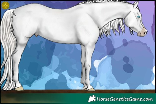 Horse Color:Chocolate Palomino Pearl Sabino Appaloosa Rabicano  Brindle