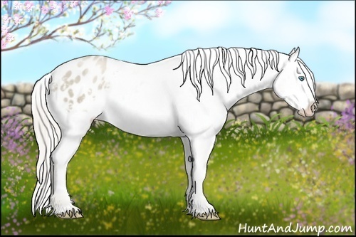 Horse Color:Chocolate Palomino Pearl Sabino Appaloosa Rabicano  Brindle