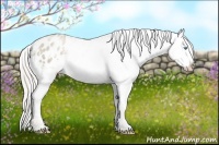Horse Color:Chocolate Palomino Pearl Mushroom Sabino Varnish Rabicano Brindle