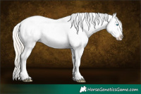 Horse Color:Chocolate Palomino Pearl Sabino Varnish Rabicano  Brindle