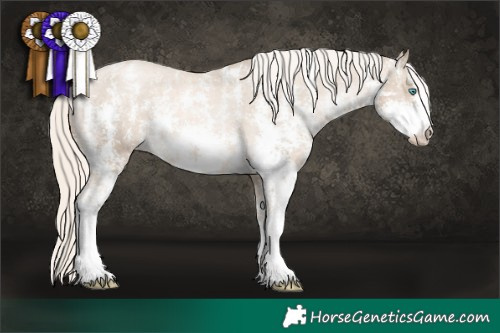 Horse Color:Chocolate Palomino Pearl Mushroom Sabino Varnish Rabicano  Brindle