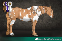 Horse Color:Chocolate Palomino Pearl Mushroom Sabino Appaloosa Rabicano  Brindle