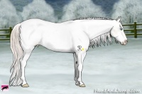 Horse Color:Chocolate Palomino Pearl Sabino Snowcap Rabicano  Brindle