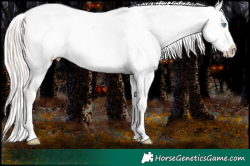 Horse Color:Chocolate Palomino Pearl Sabino Varnish Rabicano Brindle