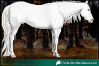 Horse Color:Chocolate Palomino Pearl Sabino Varnish Rabicano  Brindle