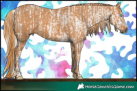Horse Color:Chocolate Palomino Pearl Sabino Appaloosa Rabicano  Brindle