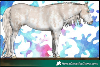 Horse Color:Chocolate Palomino Pearl Sabino Varnish Rabicano  Brindle