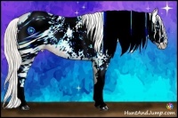 Horse Color:ERROR: UNKNOWN ANOMALY Brindle