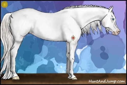 Horse Color:Chocolate Palomino Pearl Sabino Appaloosa Rabicano Brindle