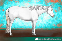 Horse Color:White Spotted Liver Red Dun Pearl Sabino Appaloosa Rabicano  Brindle