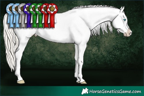 Horse Color:White Spotted Chocolate Palomino Pearl Sabino Appaloosa Rabicano  Brindle