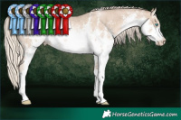Horse Color:White Spotted Chocolate Palomino Pearl Sabino Snowcap Rabicano Brindle