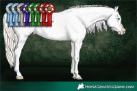Horse Color:White Spotted Chocolate Palomino Pearl Sabino Appaloosa Rabicano  Brindle