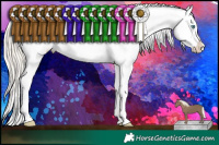 Horse Color:Chocolate Palomino Pearl Mushroom Sabino Tobiano Appaloosa Rabicano  Brindle