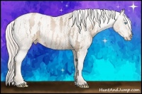 Horse Color:Chocolate Palomino Pearl Sabino Varnish Rabicano Brindle