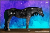 Horse Color:ERROR: UNKNOWN ANOMALY Brindle