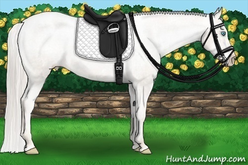 Horse Color:Chocolate Palomino Pearl Sabino Varnish Rabicano  Brindle