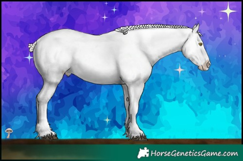 Horse Color:Liver Chestnut Pearl Mushroom Sabino Snowcap Rabicano  Brindle
