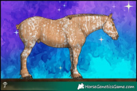 Horse Color:Liver Chestnut Pearl Mushroom Sabino Appaloosa Rabicano Brindle