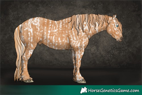 Horse Color:White Spotted Chocolate Palomino Ice Pearl Mushroom Sabino Appaloosa Rabicano  Brindle
