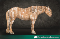 Horse Color:White Spotted Chocolate Palomino Ice Pearl Mushroom Sabino Varnish Rabicano Brindle