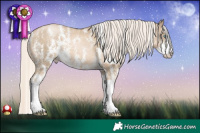 Horse Color:Chocolate Palomino Pearl Mushroom Sabino Rabicano  Brindle