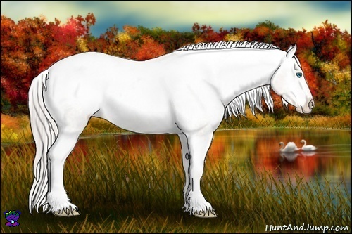 Horse Color:Chocolate Palomino Pearl Sabino Varnish Rabicano Brindle