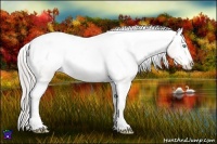 Horse Color:Chocolate Palomino Pearl Sabino Varnish Rabicano Brindle