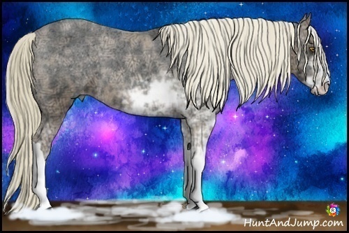 Horse Color:Liver Chestnut Ice Pearl Sabino Appaloosa  Brindle