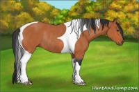Horse Color:Bay Tobiano Rabicano
